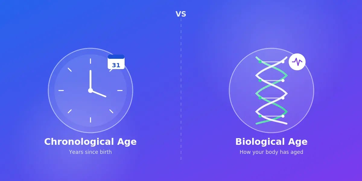 Biological Age vs Chronological Age